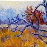 Nature Paintings Nature Paintings