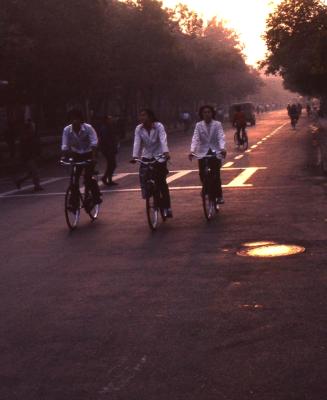 Chinese bicyclists at dawn