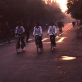 Chinese bicyclists at dawn
