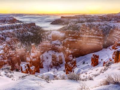 Pre-dawn Fog in Bryce Canyon Pre-dawn Fog in Bryce Canyon