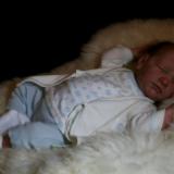 Reborn Baby ~ For HOUSE HUSBANDS ~ ADOPTED/SOLD