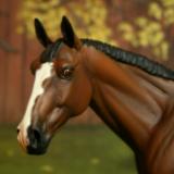 Warmblood Resin 'Merkur' Custom SOLD