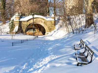 Prospect Park Benches in Snow Prospect Park Benches in Snow