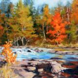 Autumn River in Algonquin