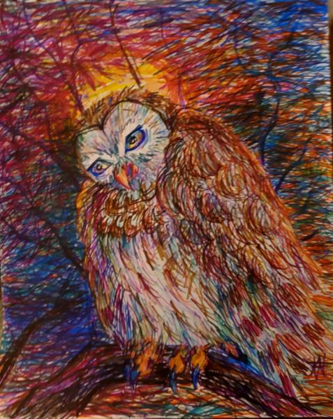 Shadows of a Night Owl