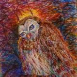 katnaj Artworks    *Colors in Harmony*   Earth,  Life,  Nature
