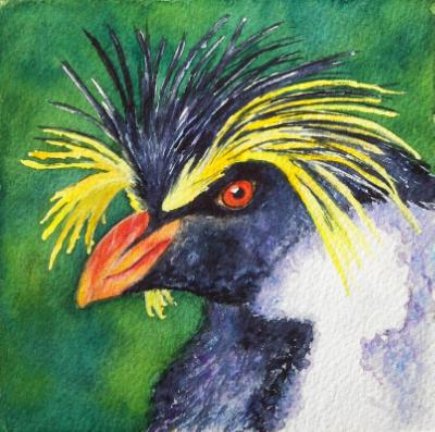 Rockhopper Penguin Rockhopper Penguin