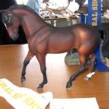 Bowral Live 2011