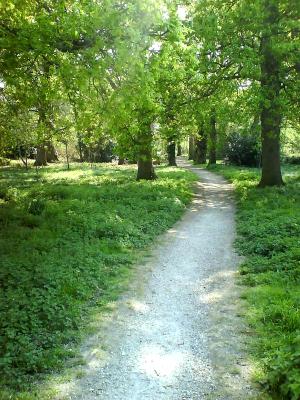 Hamworthy Woods Footpath