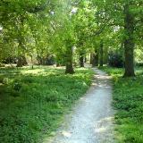 Hamworthy Woods Footpath