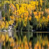 Bear Lake Autumn Mirror
