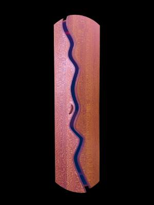 "Twists and Turns" wall cabinet "Twists and Turns" wall cabinet