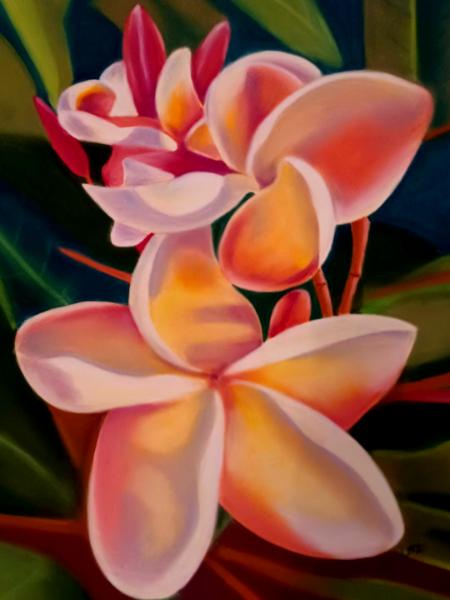 Plumeria With Buds