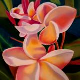 Plumeria With Buds