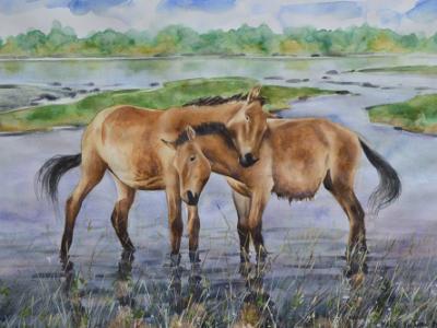 Couple of Mongolian horses, 35cm x 50cm, 2014 Couple of Mongolian horses, 35cm x 50cm, 2014