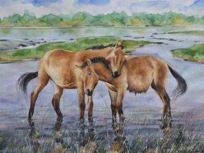 Couple of Mongolian horses, 35cm x 50cm, 2014