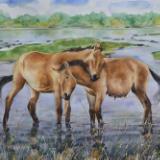 Couple of Mongolian horses, 35cm x 50cm, 2014
