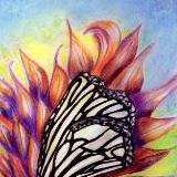 COLORED PENCIL COLORED PENCIL