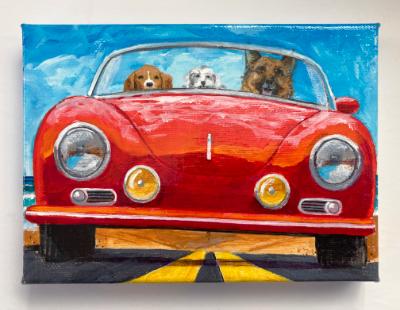 3 DOGS GO TO THE BEACH IN A PORSCHE 3 DOGS GO TO THE BEACH IN A PORSCHE