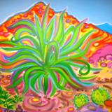 Squaw Peak Succulant