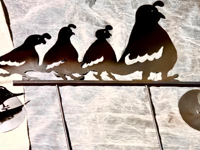 Quail Family 1 Quail Family 1