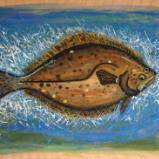 California Halibut