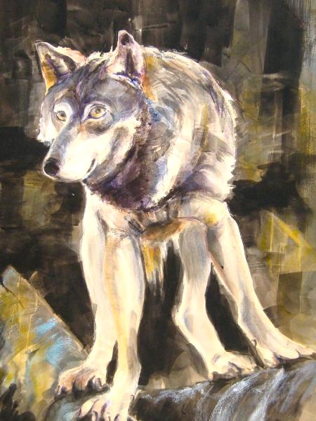 Lakota, omega wolf