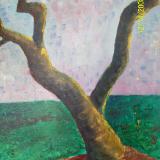 Still life of a tree