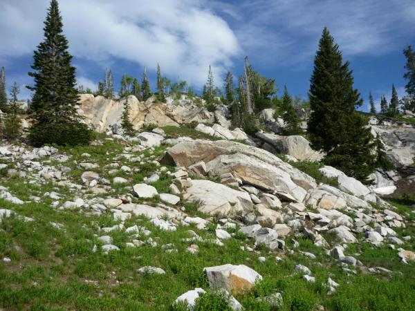 Magnificent Hiking Trail