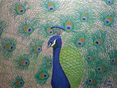 Peacock