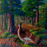 Ruffed Grouse 