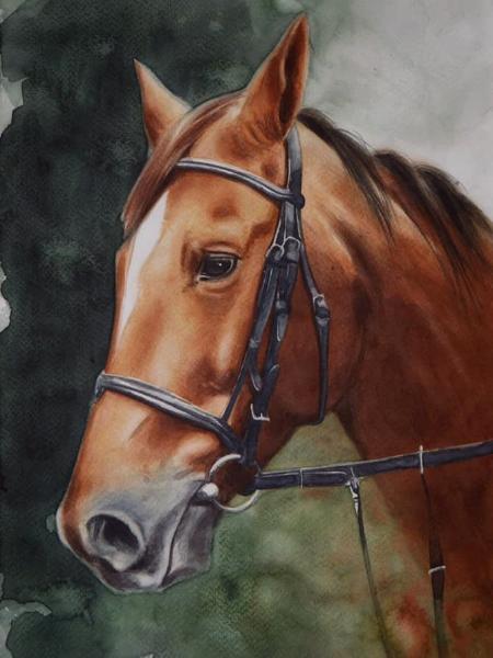 The beauty of the Argentinian Paso Horse, 38cm x 56cm, 2018