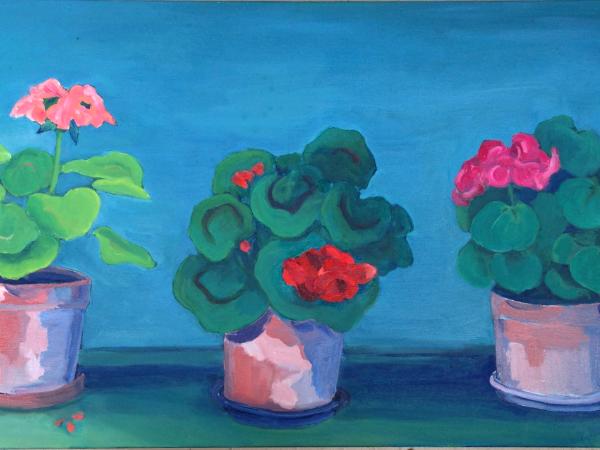 Three Geraniums