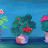 Three Geraniums