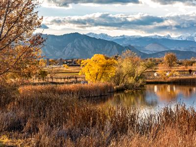 Cottonwoods on Stearns Lake in Autumn Cottonwoods on Stearns Lake in Autumn