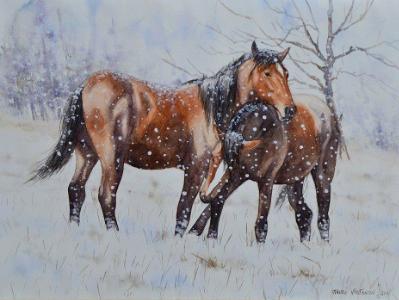 Horses on the snow, 80cm x 60cm, 2014 Horses on the snow, 80cm x 60cm, 2014