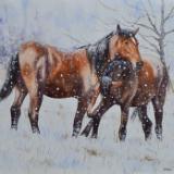 Horses on the snow, 80cm x 60cm, 2014