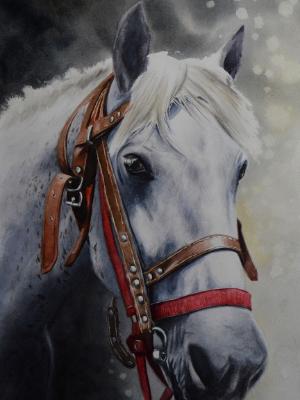 The beauty of the Russian Tersky Horse, 38cm x 56cm, 2019 The beauty of the Russian Tersky Horse, 38cm x 56cm, 2019