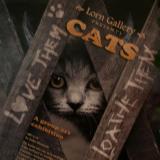 Cats Love them or Loathe them..