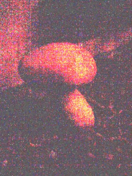 untitled 21