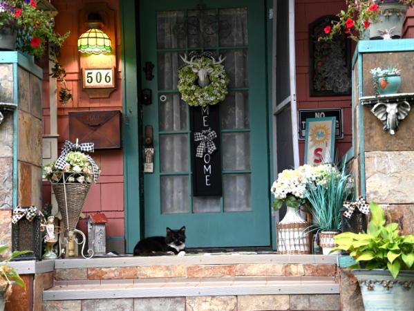 Black Cat on Porch