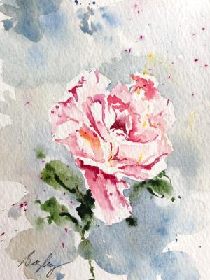 Diane's Rose Diane's Rose