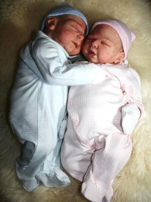 Reborn twins