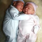 Reborn twins
