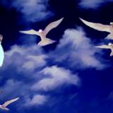 Peace Doves