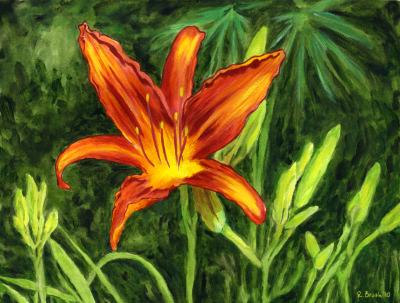 Blooming Lily Blooming Lily