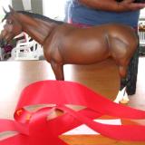 Bowral Live 2011