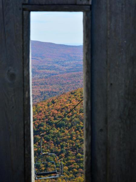 looking out