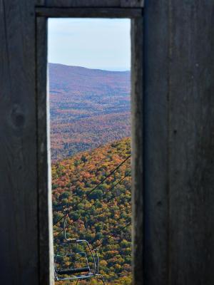 looking out