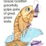 Gracie Goldfish